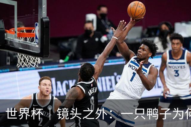 世界杯｜镜头之外：一只鸭子为何火遍世界杯？